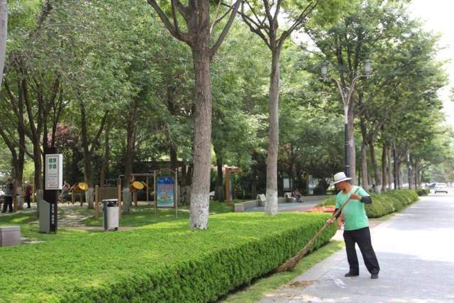 开云体育 开云平台城市园林景观养护做好这3点降低你的管养成本(图1)