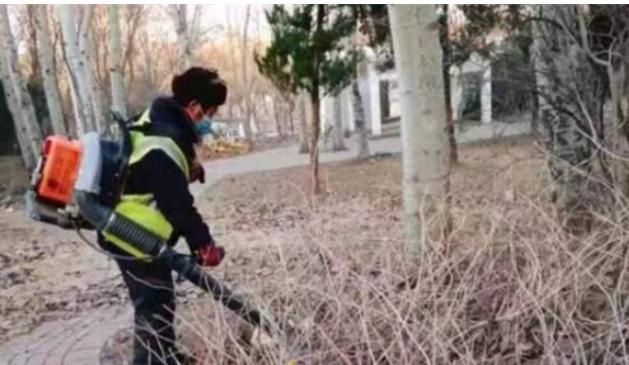 开云 开云体育官网莱芜区园林绿化和林业发展中心：靠前服务全力解决好市民反映关心的热点问题(图1)