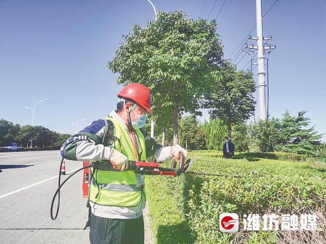 将为民服务进行到底 ——开云 开云体育官网用苦干实干书写园林环卫惠民为民“答卷”(图2)