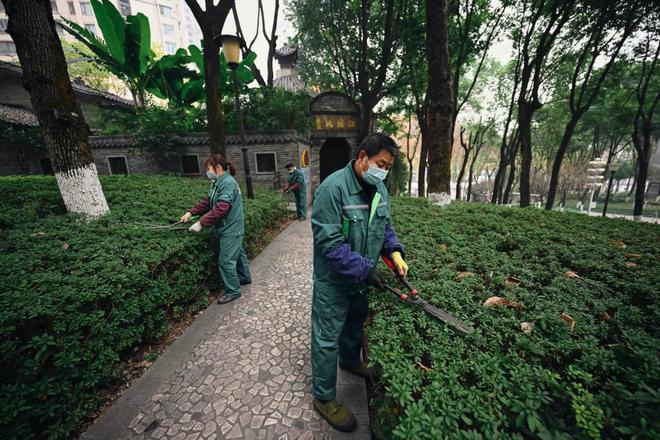开云体育 开云平台让山城彩林更多彩 重庆加强冬季园林绿化管护(图2) 开云体育 开云平台让山城彩林更多彩 重庆加强冬季园林绿化管护(图2)