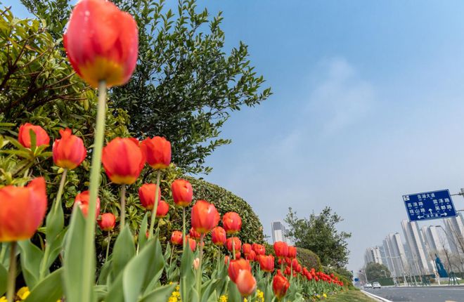 打造“最干净城市” 游历经开 珍藏四季开云 开云体育(图5) 打造“最干净城市” 游历经开 珍藏四季开云 开云体育(图5)