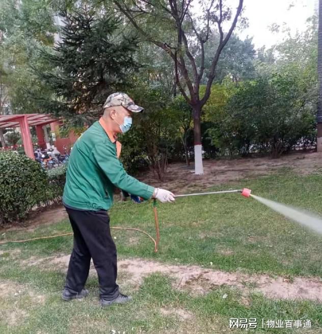 绿化养护正当时不负开云 开云体育冬日好时光(图3)