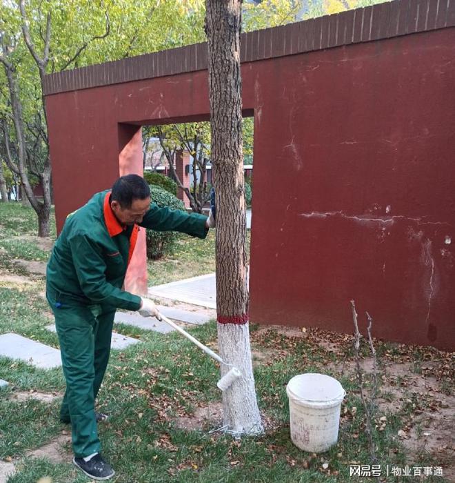 绿化养护正当时不负开云 开云体育冬日好时光(图2)