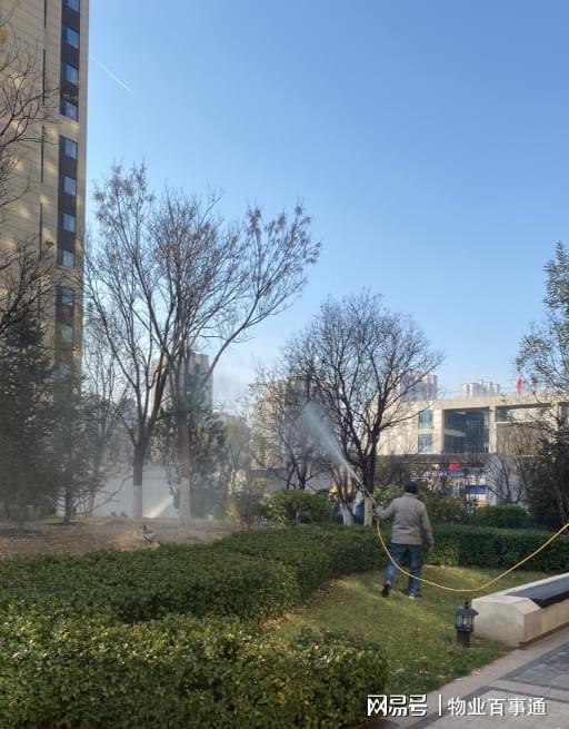 绿化养护正当时不负开云 开云体育冬日好时光(图4)
