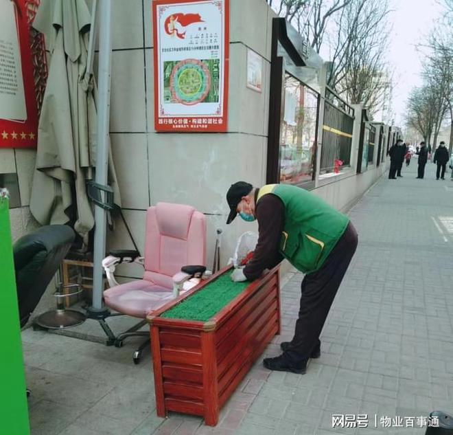 绿化养护正当时不负开云 开云体育冬日好时光(图7)