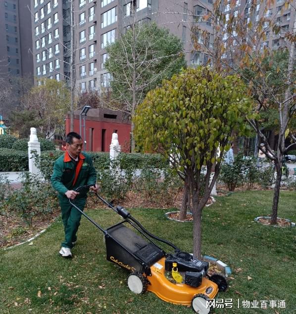 绿化养护正当时不负开云 开云体育冬日好时光(图6)
