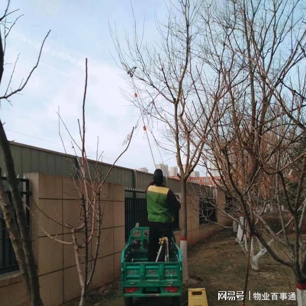 绿化养护正当时不负开云 开云体育冬日好时光(图5)