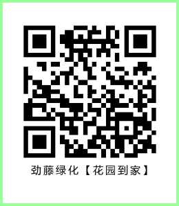 开云体育 开云平台【花园设计】室外绿化案例（一）(图1)
