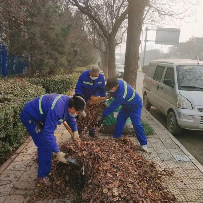 勤梳妆•绿护忙|四招!聚力园林绿化精细开云体育 开云平台化管养!(图8) 勤梳妆•绿护忙|四招!聚力园林绿化精细开云体育 开云平台化管养!(图8)