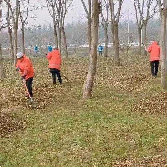勤梳妆•绿护忙|四招!聚力园林绿化精细开云体育 开云平台化管养!(图9) 勤梳妆•绿护忙|四招!聚力园林绿化精细开云体育 开云平台化管养!(图9)
