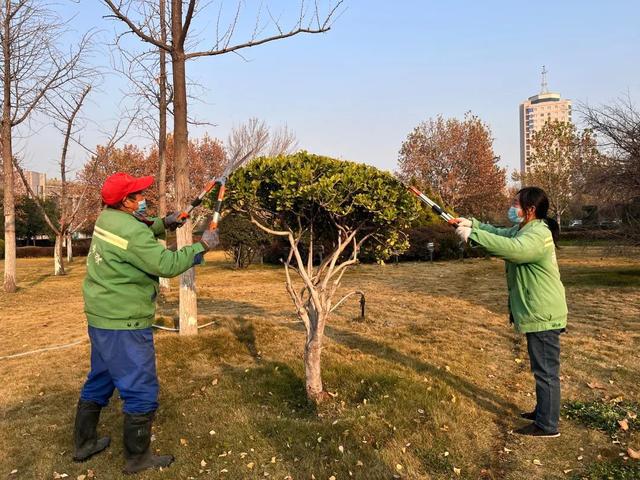 开云体育 开云官网保障绿植安全越冬 开封示范区城管局做好园林绿化“冬防”作业(图2)