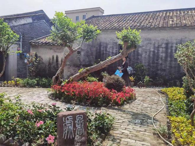 开云体育 开云官网佛山古促会：绘就低碳乡村新画卷(图3)