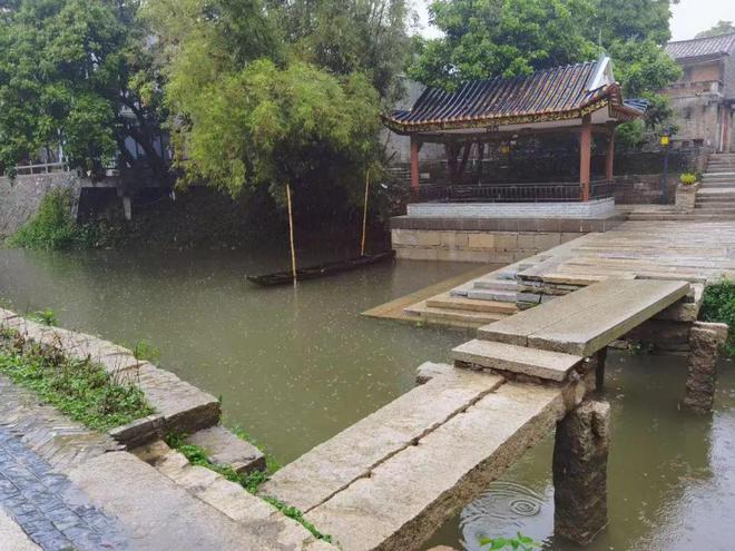 开云体育 开云官网佛山古促会：绘就低碳乡村新画卷(图6)