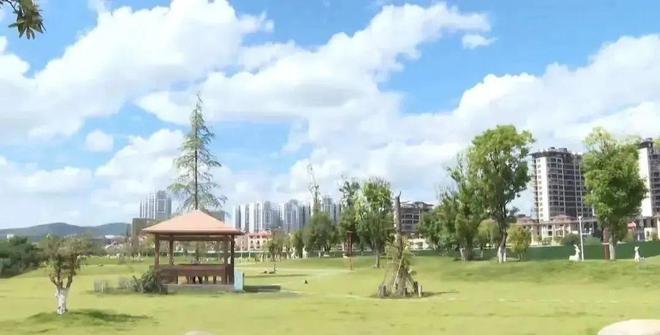 【新时代 新征程 新伟业】创建国家园林城市 打造生态宜居楚雄开云 开云体育官网(图5)