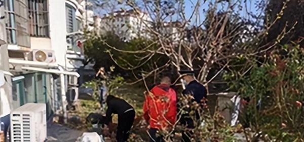 青岛市市开云 开云体育平台南区八大峡执法中队开展园林绿化专项整治活动(图1)