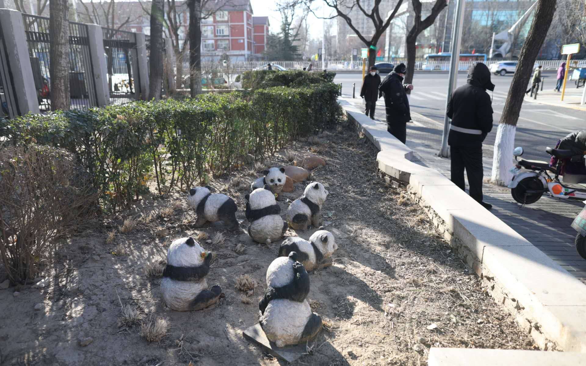 阜三街、五塔寺路成“最美街巷”海淀完成464条背街小巷整治开云 开云体育官网(图5)