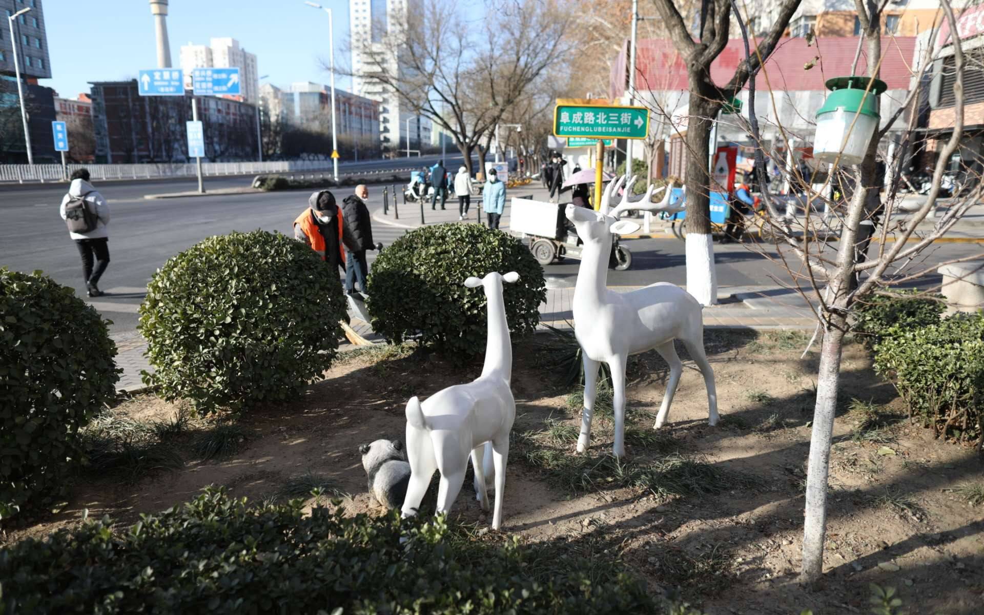 阜三街、五塔寺路成“最美街巷”海淀完成464条背街小巷整治开云 开云体育官网(图4)