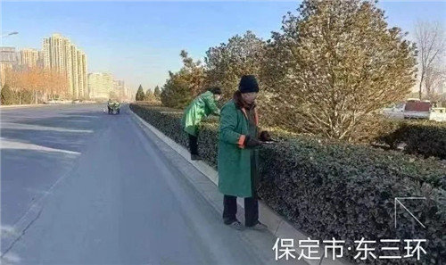 开云 开云体育河北保定市园林绿化中心开展绿化整治行动(图1)
