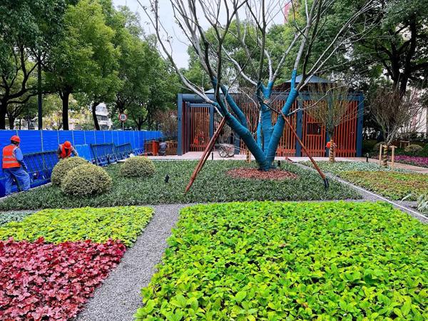 浦东新区2022年建成25个开云 开云体育口袋公园！一园一特色可观可玩的开放绿地就在“家门口”(图7)