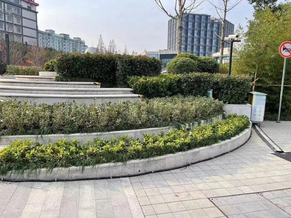 浦东新区2022年建成25个开云 开云体育口袋公园！一园一特色可观可玩的开放绿地就在“家门口”(图26)