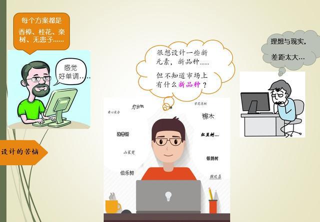 我国重要的珍贵树种——臭檀吴萸是著名药材也是优秀的行开云体育 开云平台道树(图7)