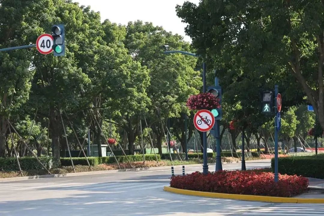好消息！阳光大道（唐黄路-申迪东路）、申迪东路（南路Kaiyun 开云-调头环岛）成为本市今年第一批精品道路(图1)