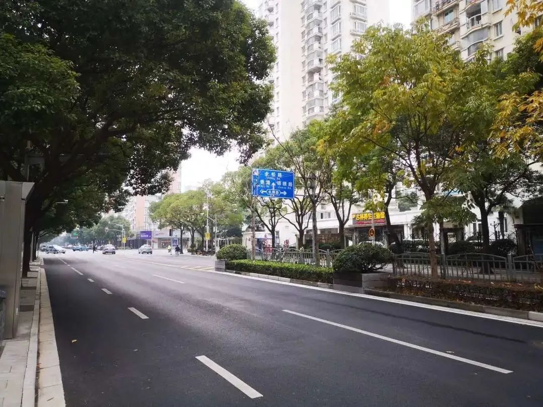 好消息！阳光大道（唐黄路-申迪东路）、申迪东路（南路Kaiyun 开云-调头环岛）成为本市今年第一批精品道路(图3)