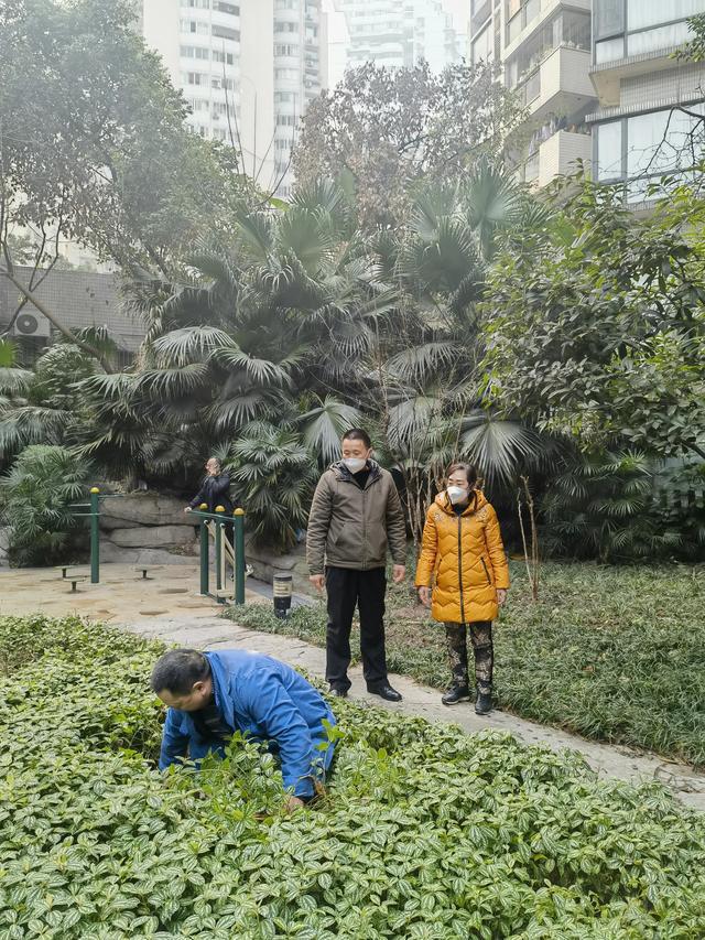 【散文】爱管闲事开云 开云体育APP的肖姐(图1)