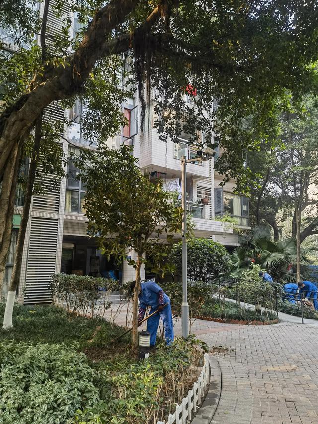 【散文】爱管闲事开云 开云体育APP的肖姐(图5)