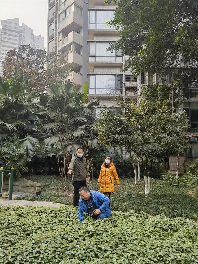 【散文】爱管闲事开云 开云体育APP的肖姐(图4)