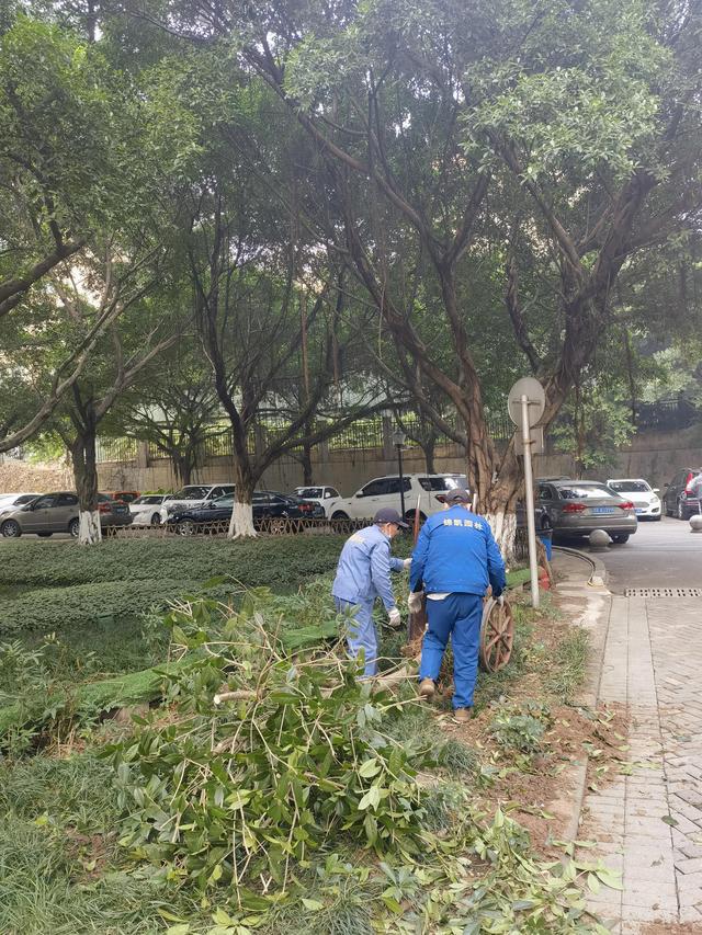 【散文】爱管闲事开云 开云体育APP的肖姐(图6)