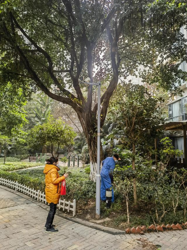 【散文】爱管闲事开云 开云体育APP的肖姐(图9)