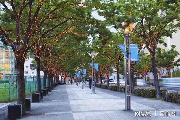 开云 开云体育人行道的5种绿化设计方式(图2)