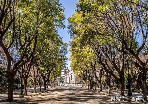 开云 开云体育人行道的5种绿化设计方式(图5)