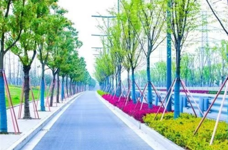 让“园林”走进开云 开云体育APP百姓生活(图4)