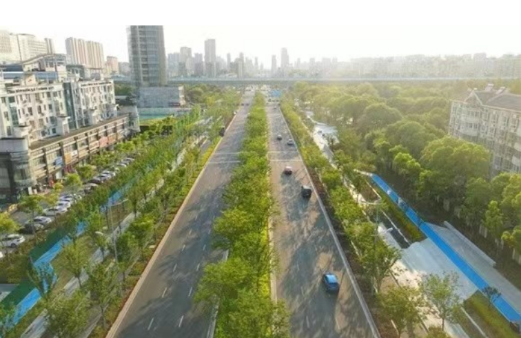 让“园林”走进开云 开云体育APP百姓生活(图7)