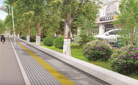 贯彻新发展理念 提升绿化软实力——市园林绿化事开云体育 开云官网业发展中心工作纪实(图2)