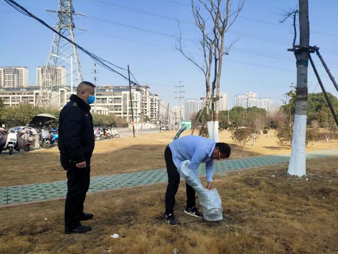 庐阳经开区全面推进冬季绿化提升工作开云 开云体育平台(图2) 庐阳经开区全面推进冬季绿化提升工作开云 开云体育平台(图2)