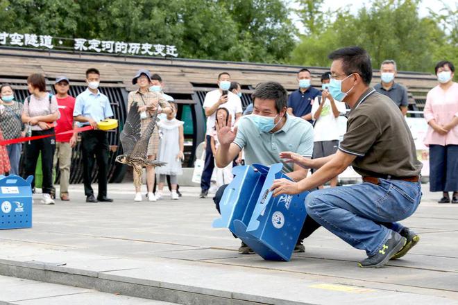 开云体育 kaiyun.com 官网入口全国科普日北京优秀活动案例 北京市园林绿化局：勇当绿色使者 培养生态文明“兴”力量(图1)