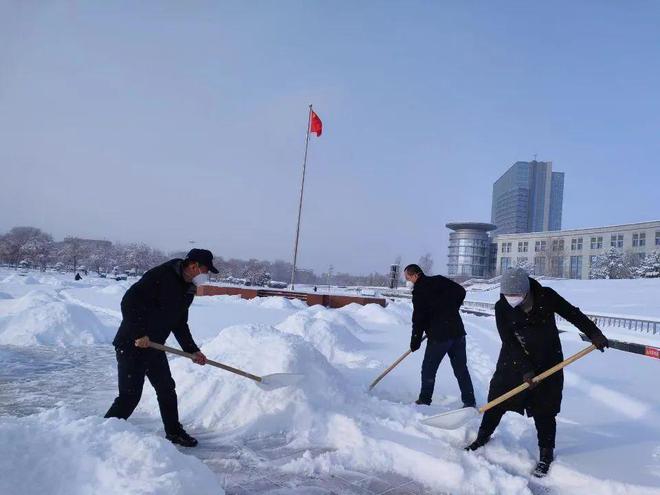 开云 开云体育官网“我为群众办实事” 园林绿化养护中心清理积雪 保障市民安全出行(图3)