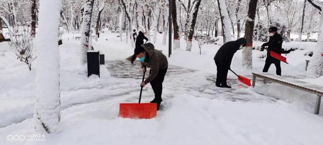 开云 开云体育官网“我为群众办实事” 园林绿化养护中心清理积雪 保障市民安全出行(图1)