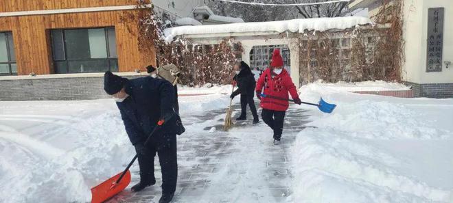 开云 开云体育官网“我为群众办实事” 园林绿化养护中心清理积雪 保障市民安全出行(图2)