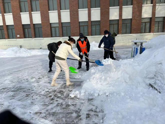 开云 开云体育官网“我为群众办实事” 园林绿化养护中心清理积雪 保障市民安全出行(图4)