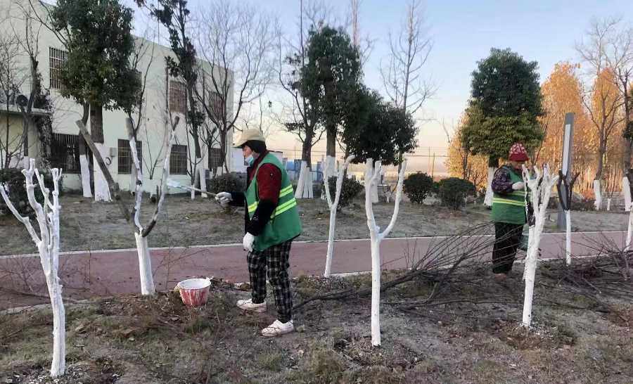 宿州埇桥区多措并举强化城市绿化苗木养护管理Kaiyun 开云工作(图1)