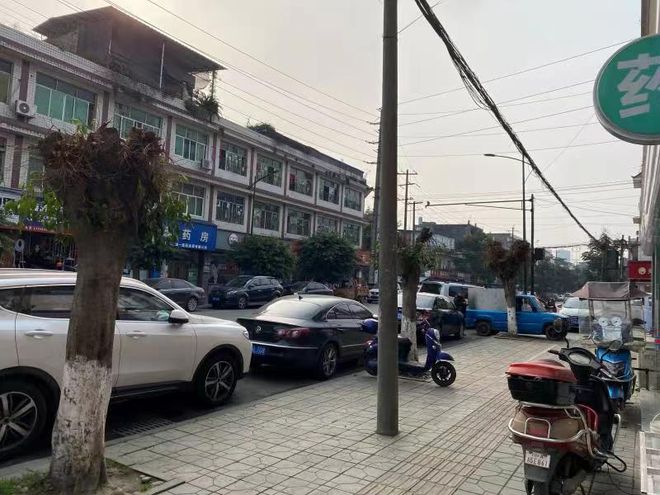 开云 开云体育官网以案说法 随意砍伐树木？要不得！要被罚！(图2)