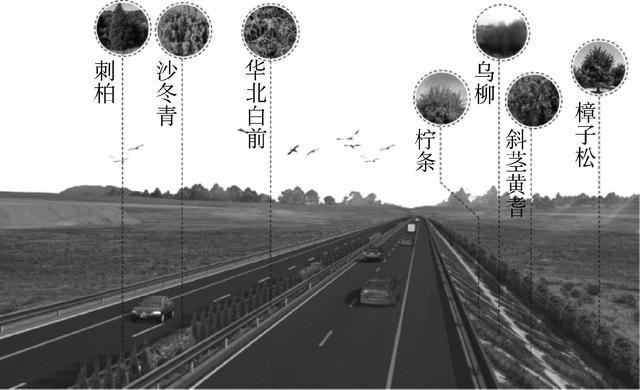 银百高速公路宁夏段路域开云体育 开云平台线形景观营造研究(图6)