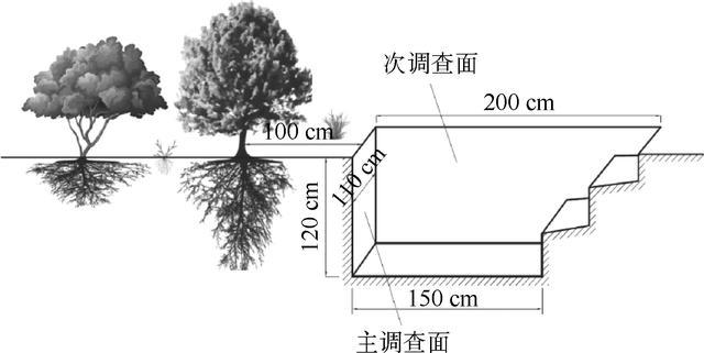 银百高速公路宁夏段路域开云体育 开云平台线形景观营造研究(图3)