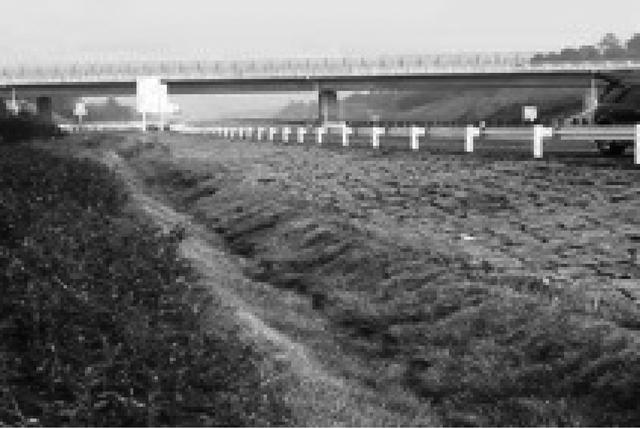 银百高速公路宁夏段路域开云体育 开云平台线形景观营造研究(图10)
