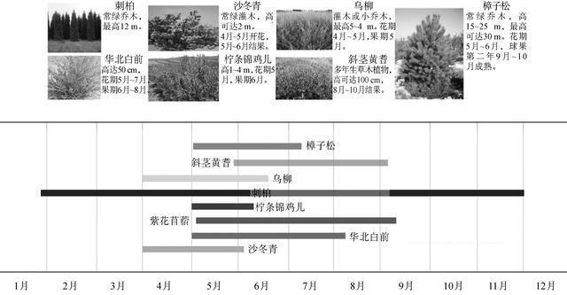 银百高速公路宁夏段路域开云体育 开云平台线形景观营造研究(图7)