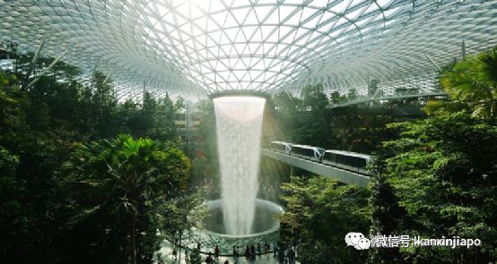 开云 开云体育平台目之所及都是“绿”！新加坡花园城市到底是怎么建起来的(图4)